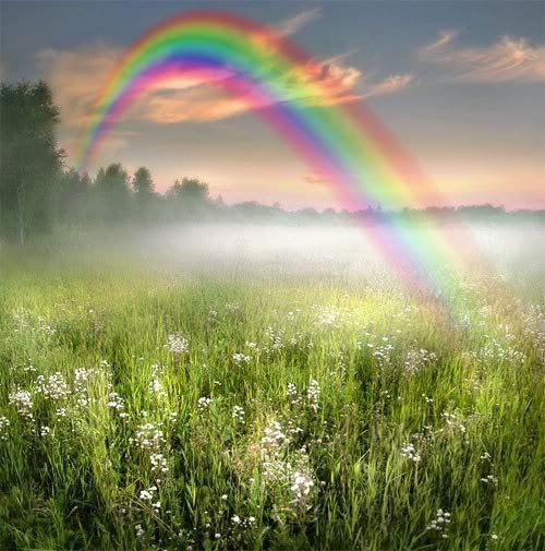 Colours of the rainbow?