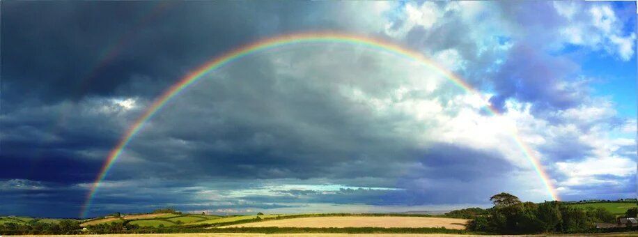 Colours Of The Rainbow!