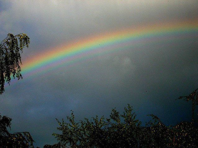 Rainbow