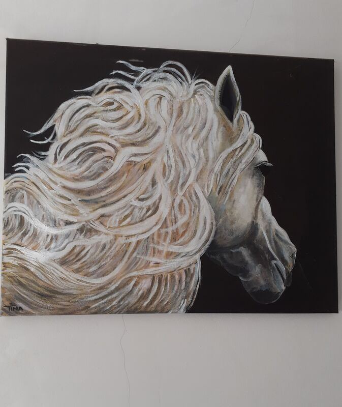 Portrait of a horse