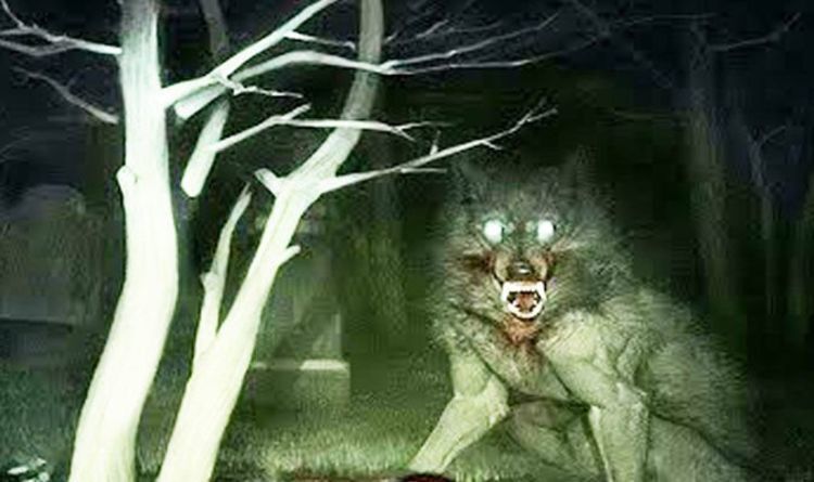 The Lycanthrope. *Poetess challenge