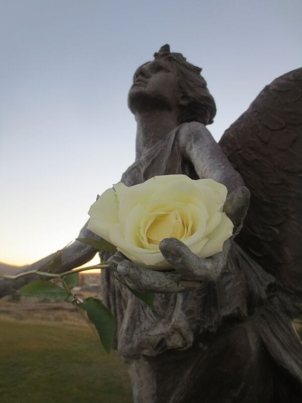 Divine Rose