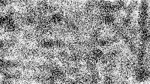 Human
