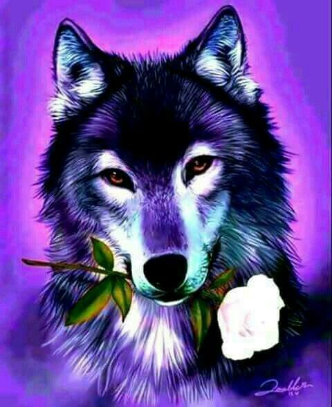 Faded Roses