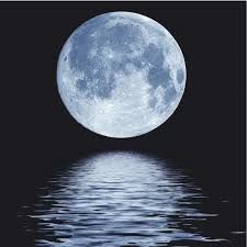 Under The Moonlight