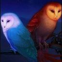 Night To Dawn