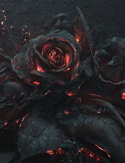 Flower Of The Conflagration