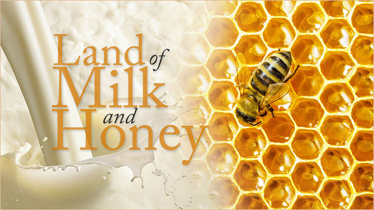 The lands of milk and honey