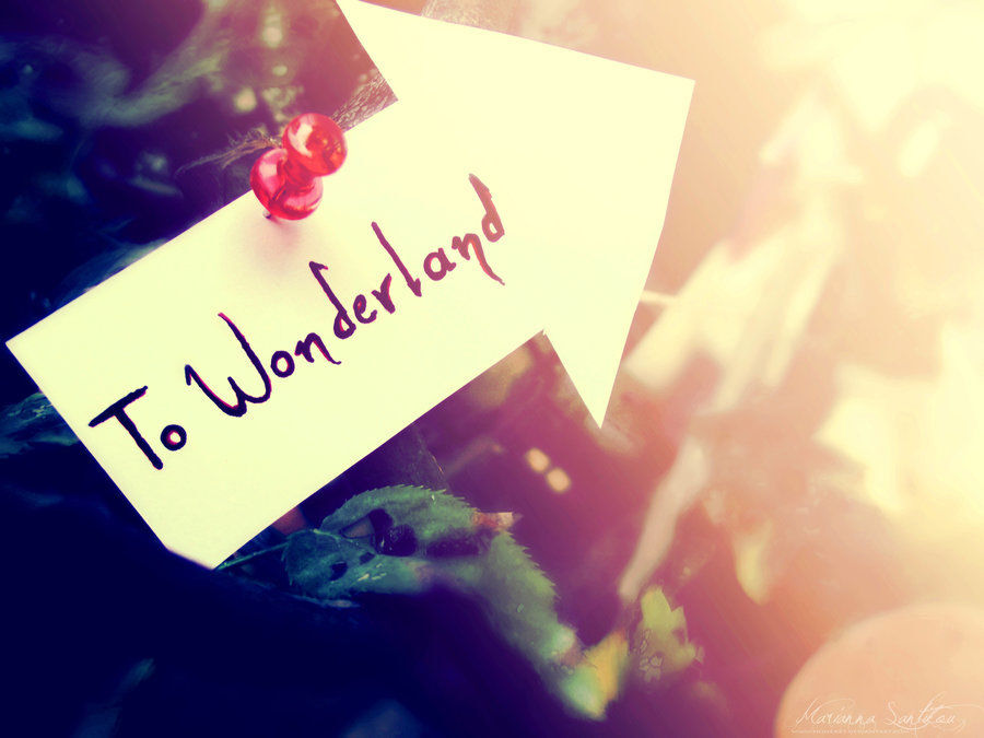 Which way to Wonderland ?