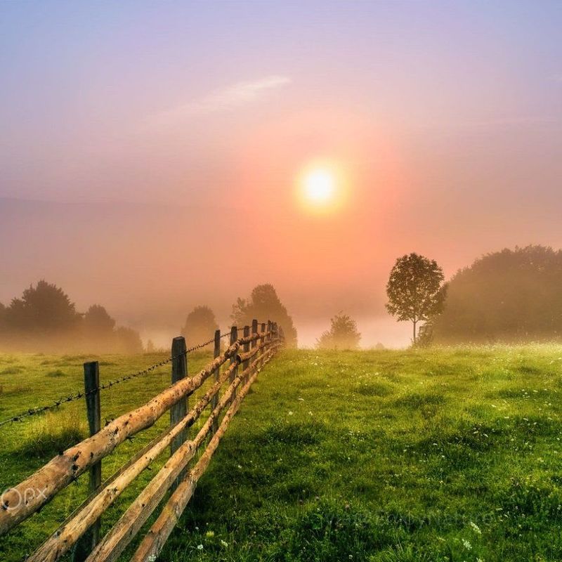 My Countryside tread