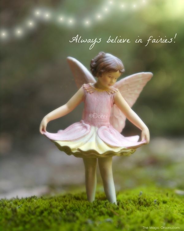 Always believe ?