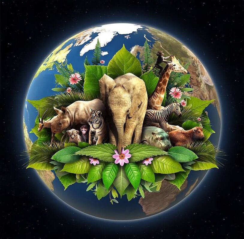 Beautiful Earth