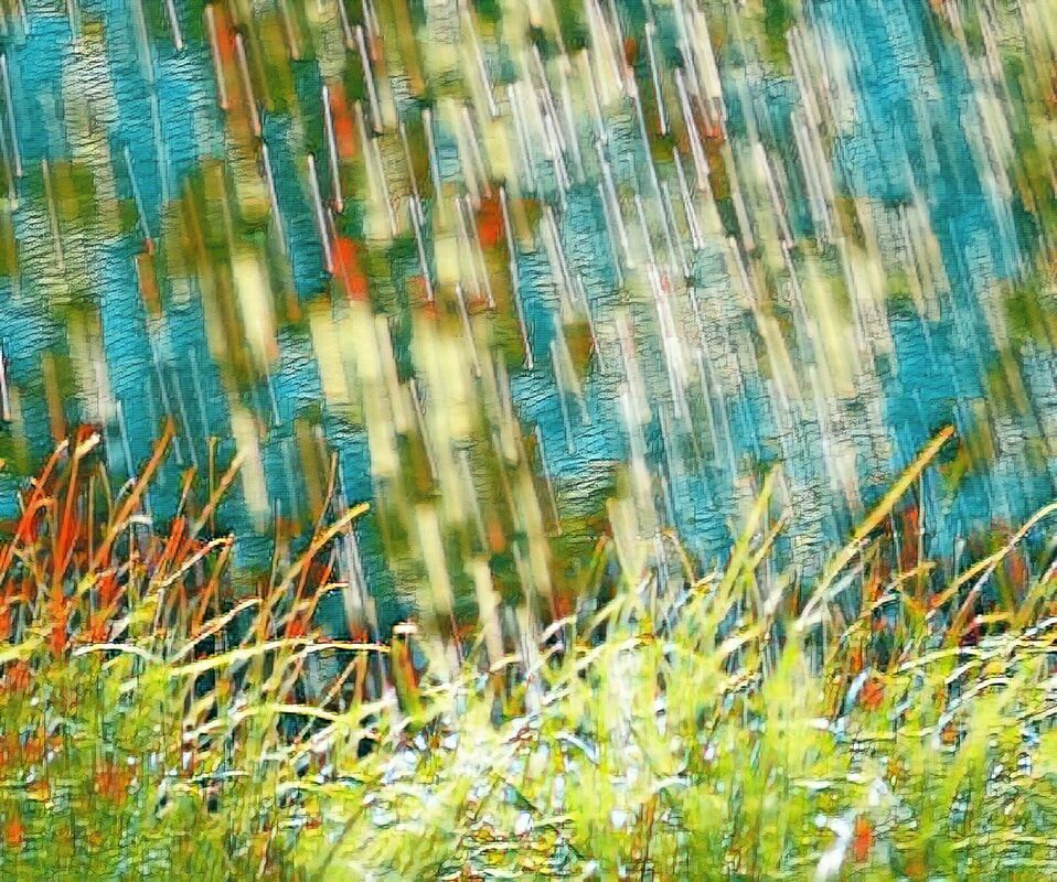 APRIL, THE MONTH OF RAIN