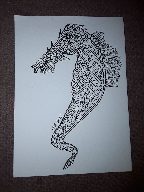 Seahorse 