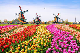 In old Amsterdam