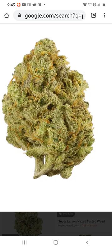 Lemon Haze
