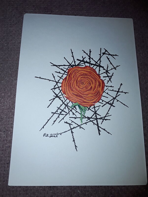 Rose among thorns 