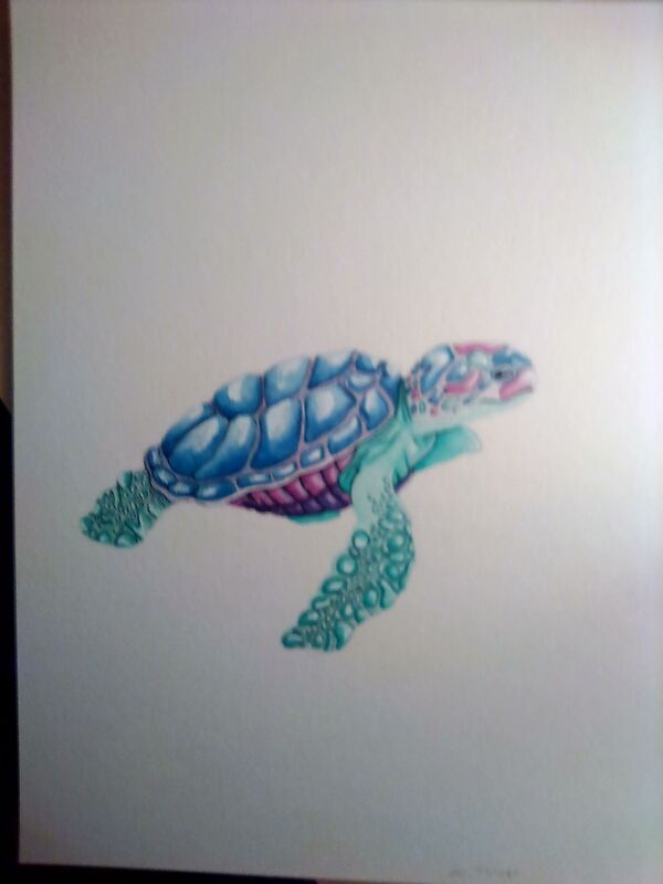 Turtle