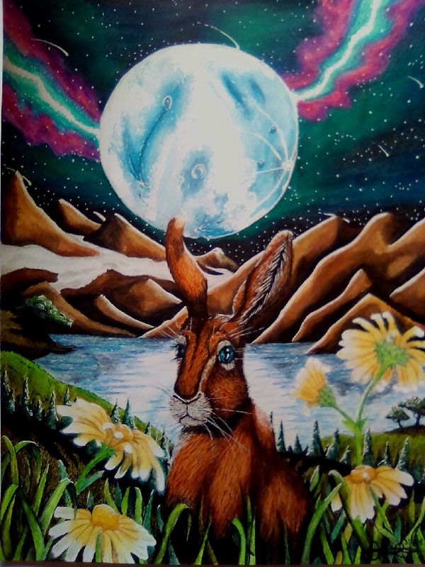 Hare moonwood