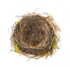 Empty nest syndrome, plus lapsed romances revisited...