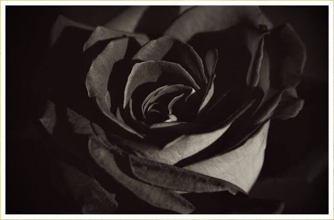 A Song By A Black Sun