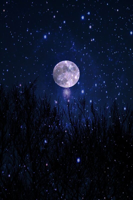 Moonlight 