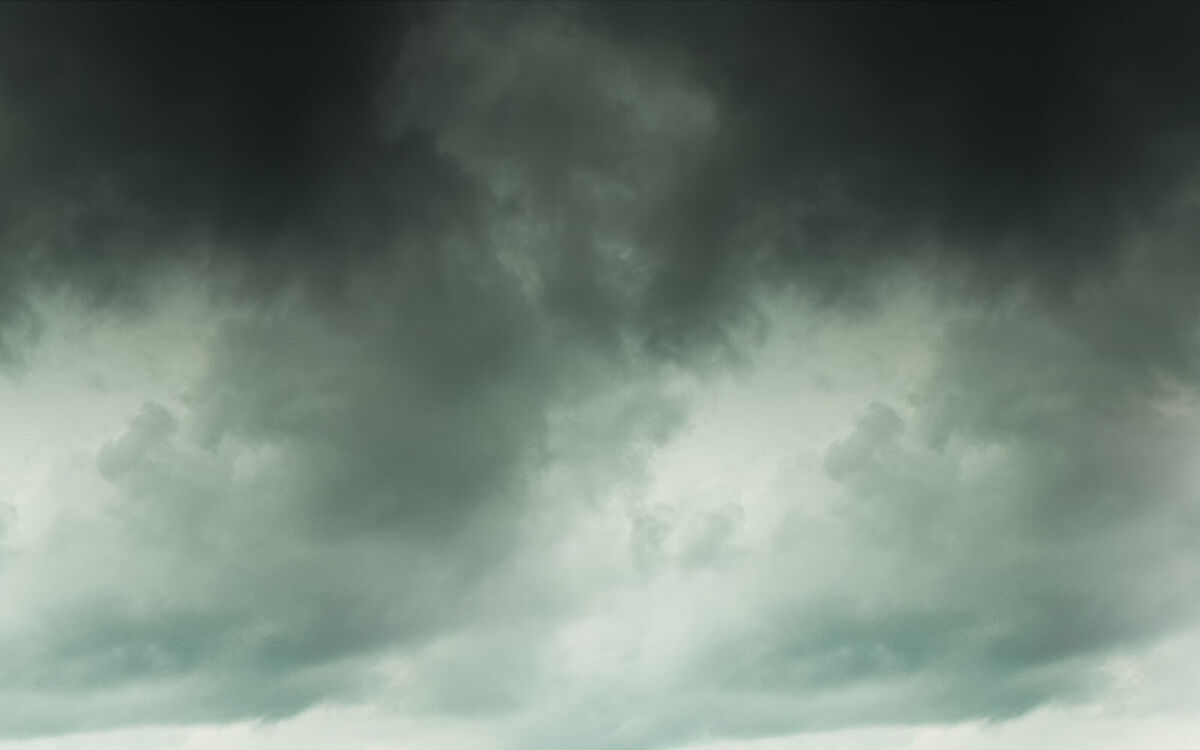 In the grey