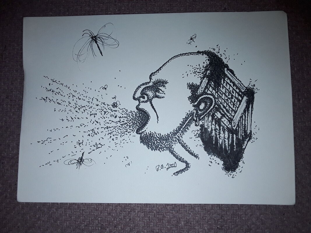 Bug cage head 