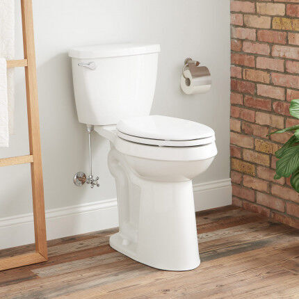 Defecation clogged toilet bowl courtesy metamucil..