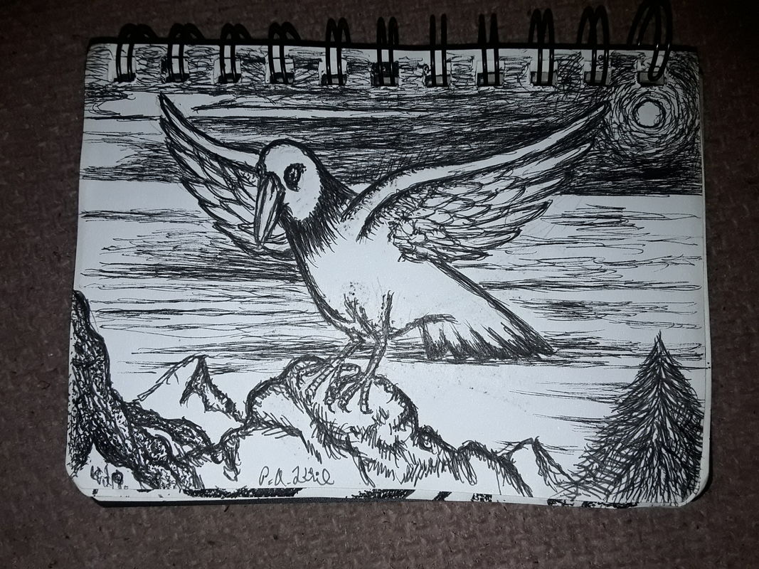 Bird 