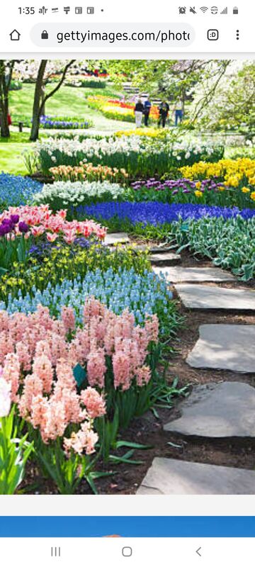 GARDEN OF ENLIGHTENMENT