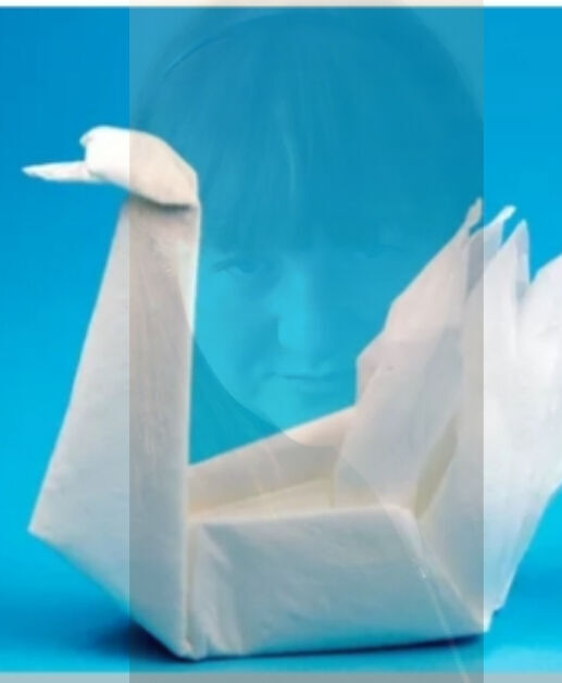 Dance of the Swan Napkins