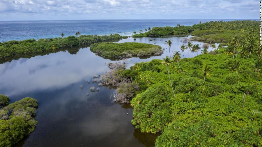The world’s wonderful wetlands?