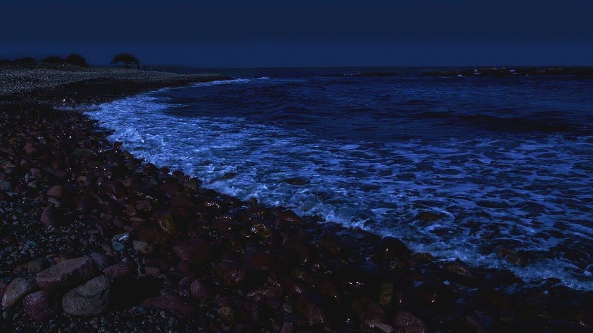 The Pitch-Dark Night