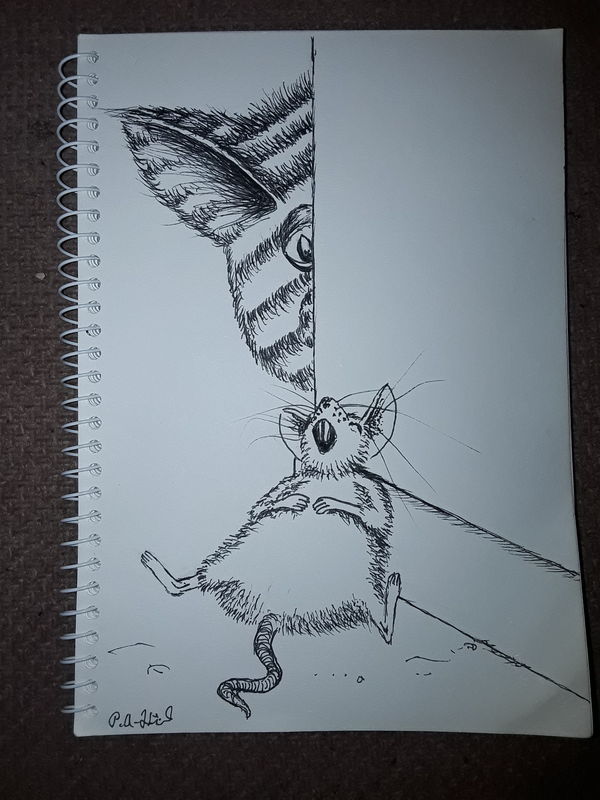 Cat and mouse 