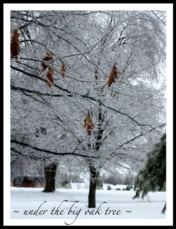 Under the big oak tree ?