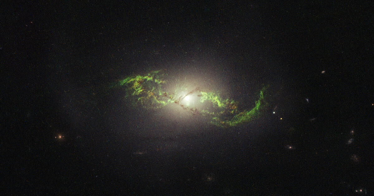 Quasar Ghosts