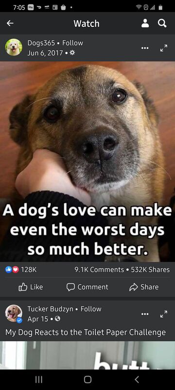 Puppy Love