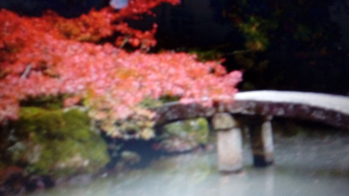 Japanese Garden
