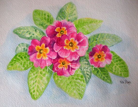 The Primrose picture