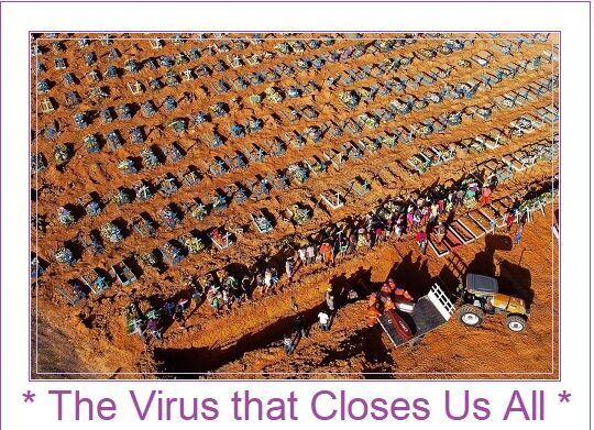 The Virus that Separates Us 