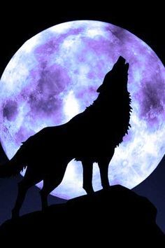 When I was Alpha...