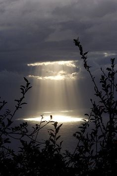 I saw the light that night