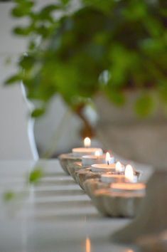 Sanctuary
