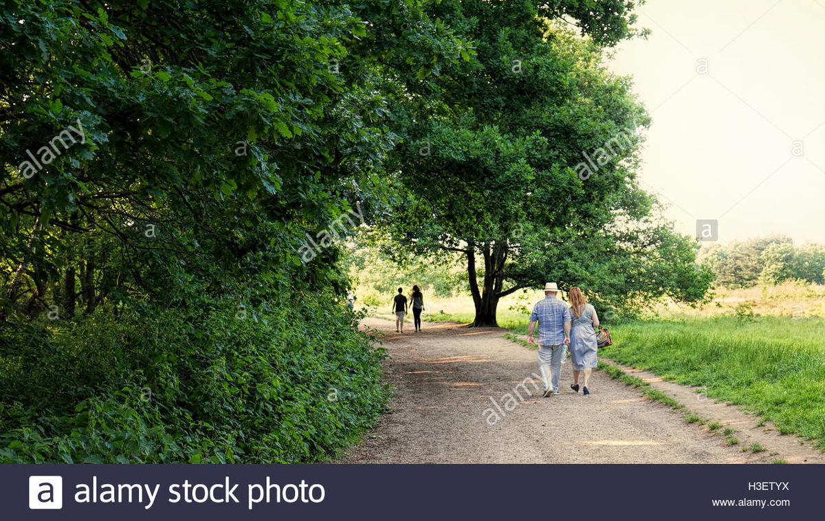 AFTERNOON STROLL