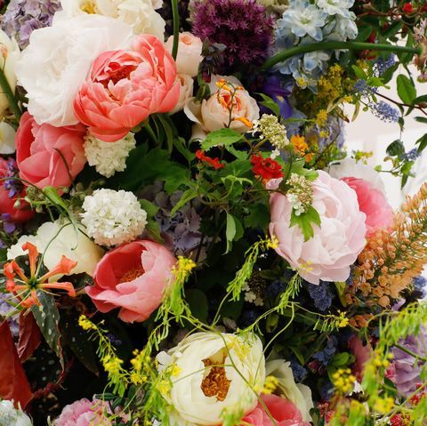 Beautiful Flowers