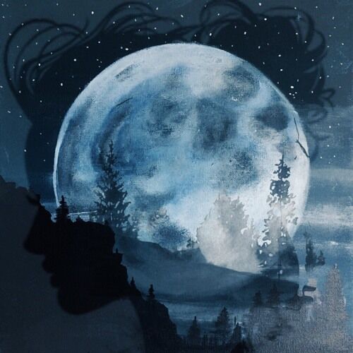 Under The Moonlight