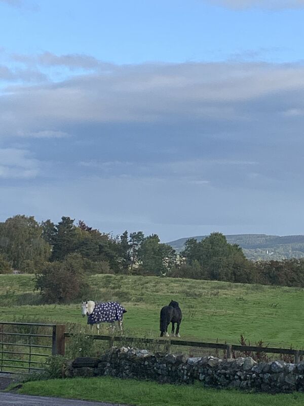 Billy and Bess ??