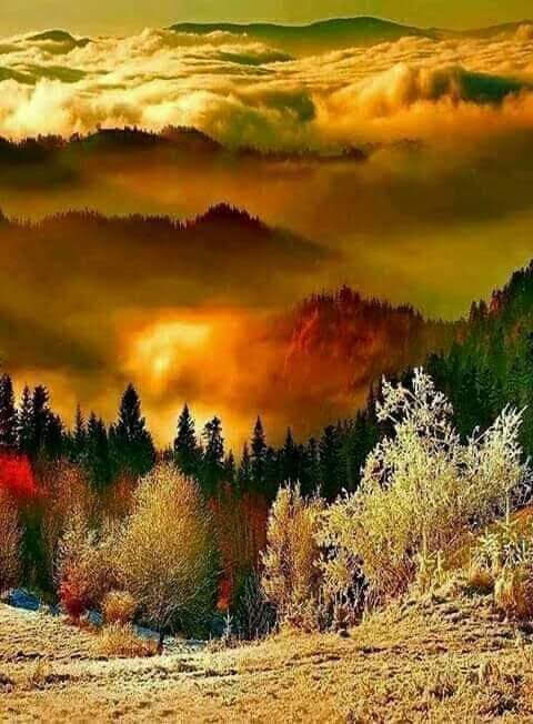 How is the beauty