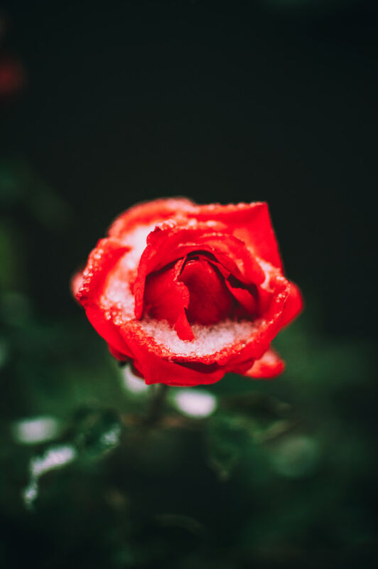 Va-va-voom ❤️